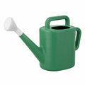 Arrosoir vert 10L avec poignées ergonomiques et douchette