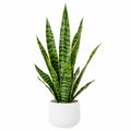 Plante Serpent Artificielle Vert avec Pot en Céramique Blanc
