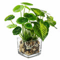 Plante Artificielle Décorative en Pot de Verre avec Galets Verts