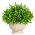Plante Artificielle Buis Dense Vert en Pot Céramique Blanc