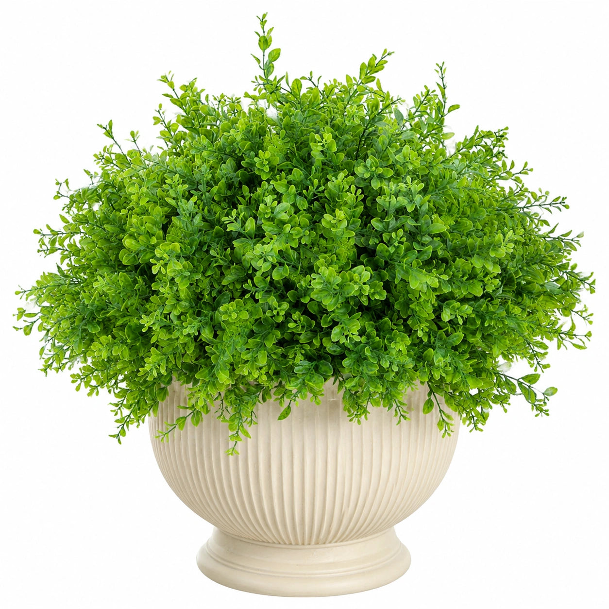 Plante Artificielle Buis Dense Vert en Pot Céramique Blanc