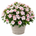 Plante artificielle avec fleurs roses en pot d'osier